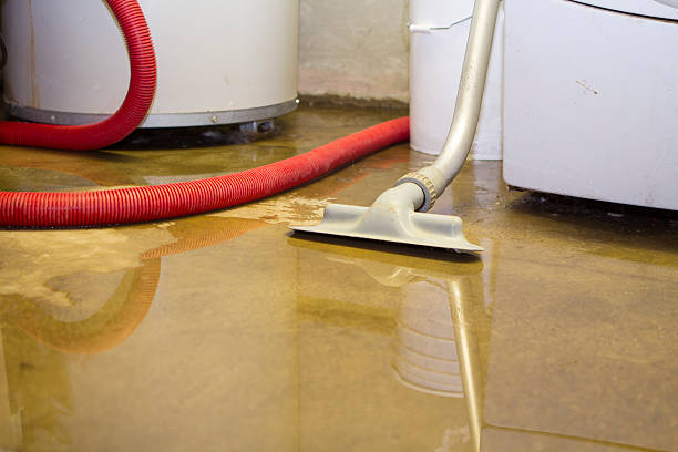 Best Carpet water damage restoration  in Pottsville, AR