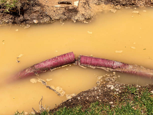 Best Flood damage cleanup  in Pottsville, AR