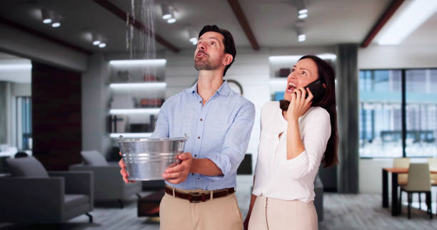  Pottsville, AR Water damage restoration Pros